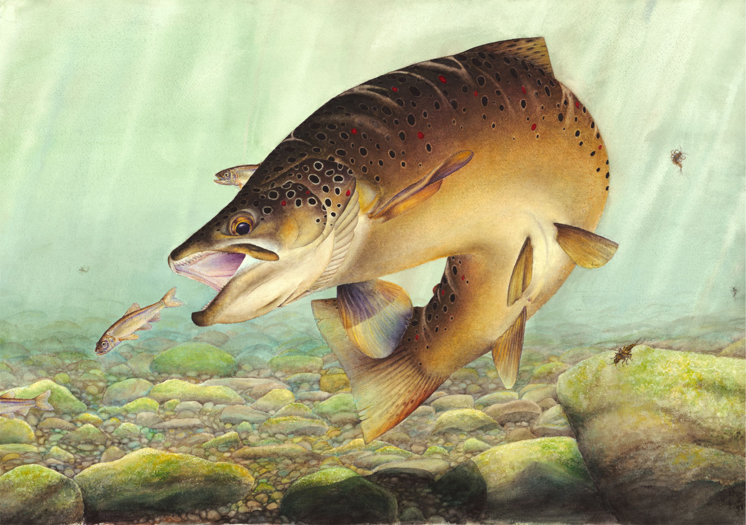Fish-Eat-Fish-World-Main.jpg