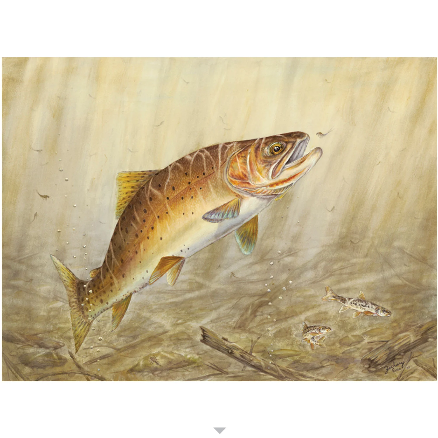 Feeding-Time-Yellowstone.jpg