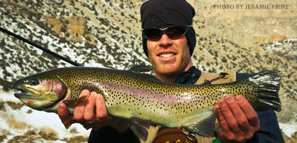 zach-even-art-flyrod-16.jpg