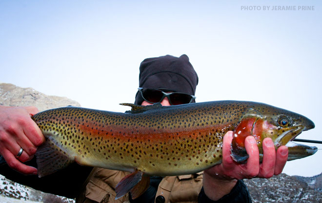 zach-even-art-flyrod-12.jpg