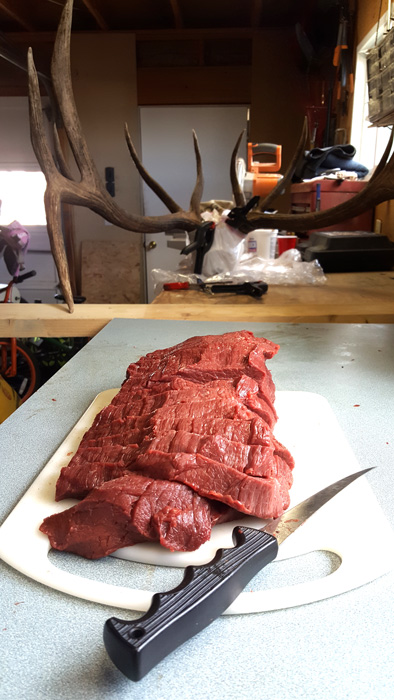 2017 Archery Bull taken at 6 yards.