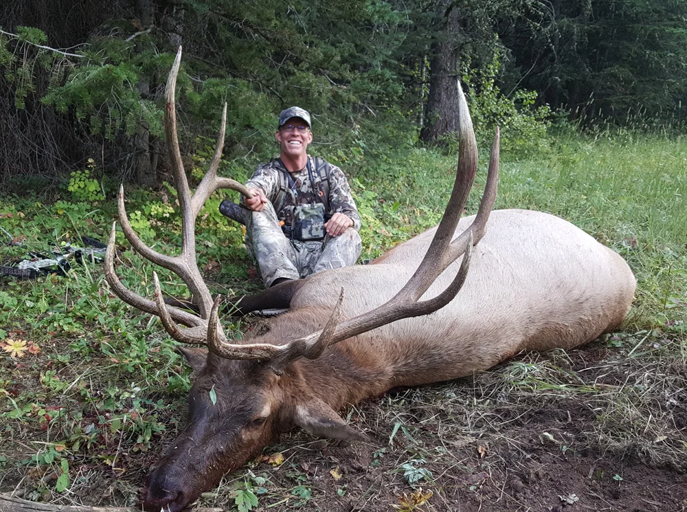 2017 Archery Bull