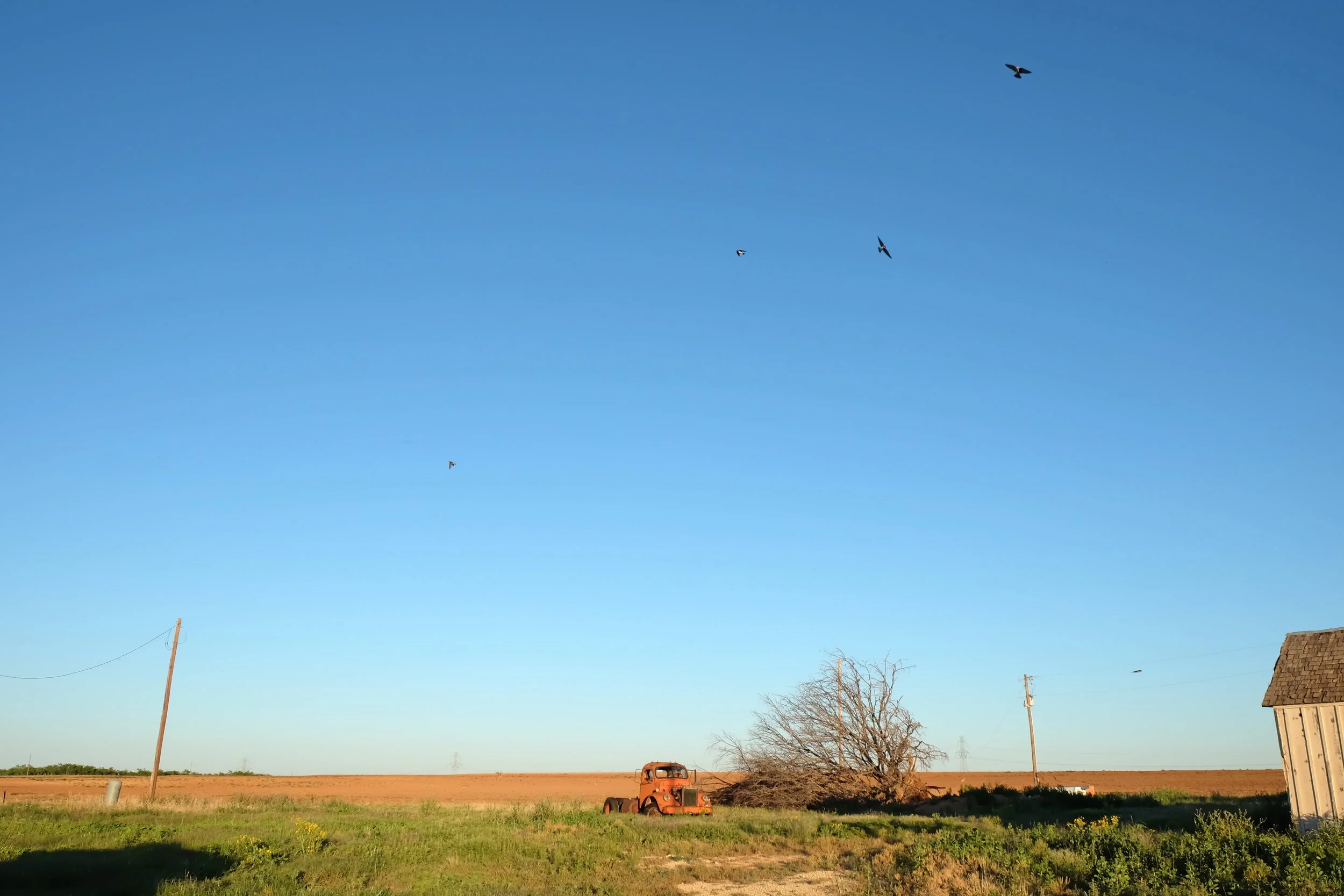 Nearby Colorado Lake State Park, TX