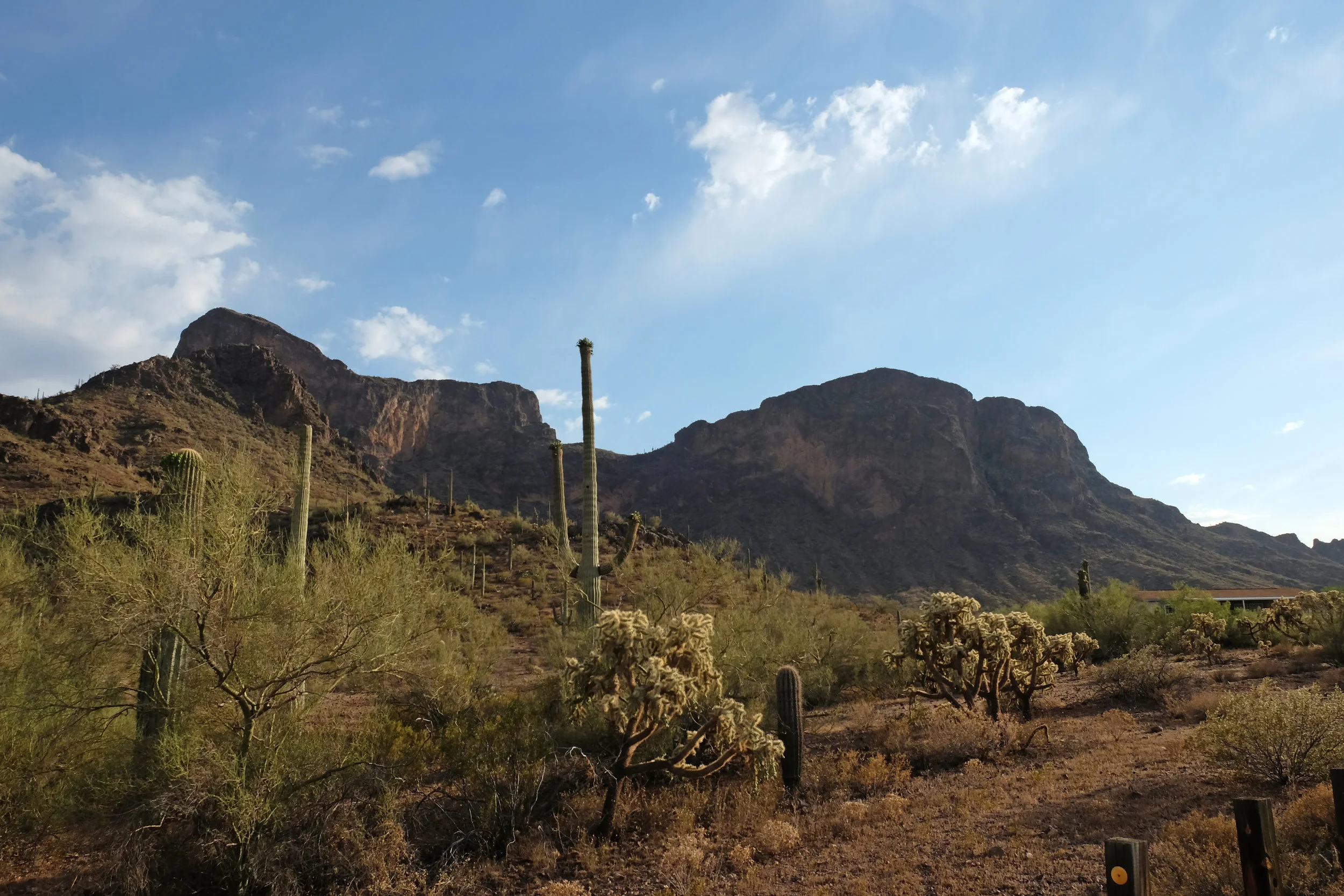 Picacho Peak State Park, AZ