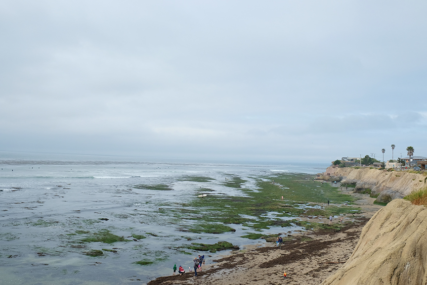 negative tide along Pleasure point