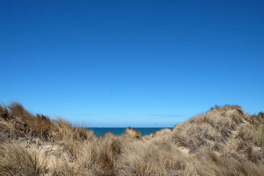 morning beach walk at Costanoa beach front