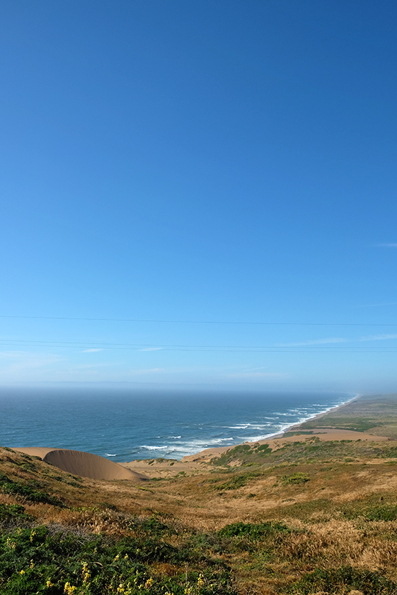 sand dunes at Point Reyes