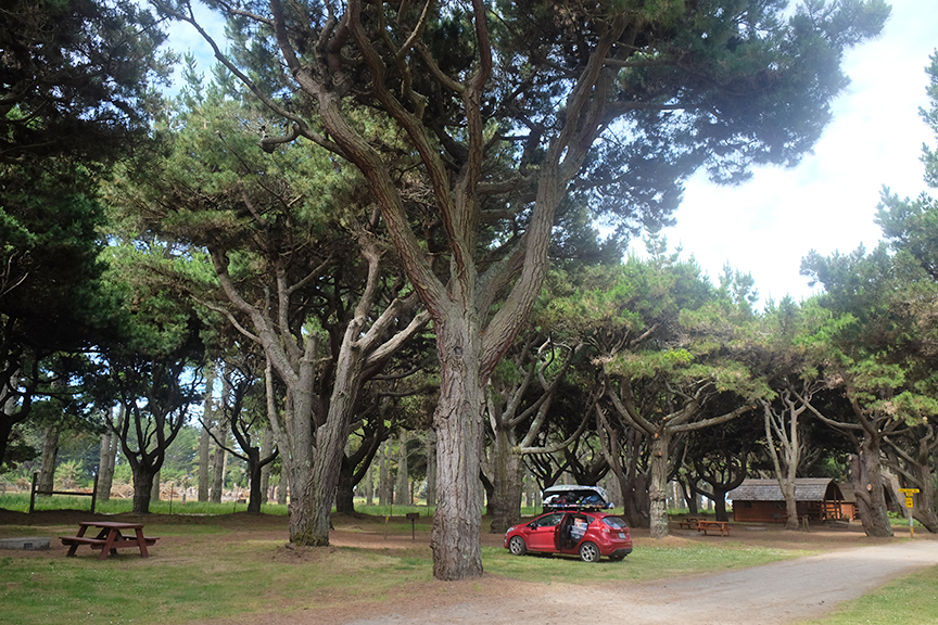 spent the night at Manchester Bay/Mendocino Coast KOA