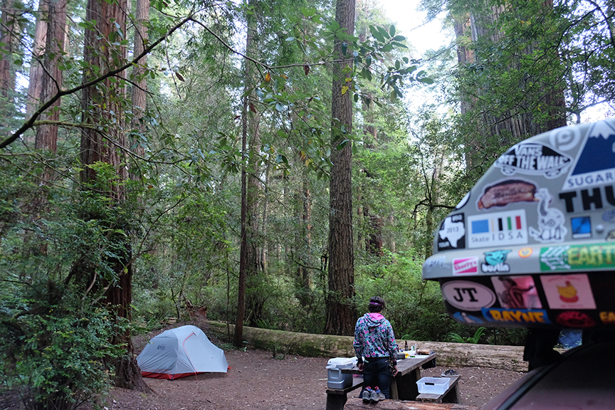 Jedidiah Smith Redwood State Park