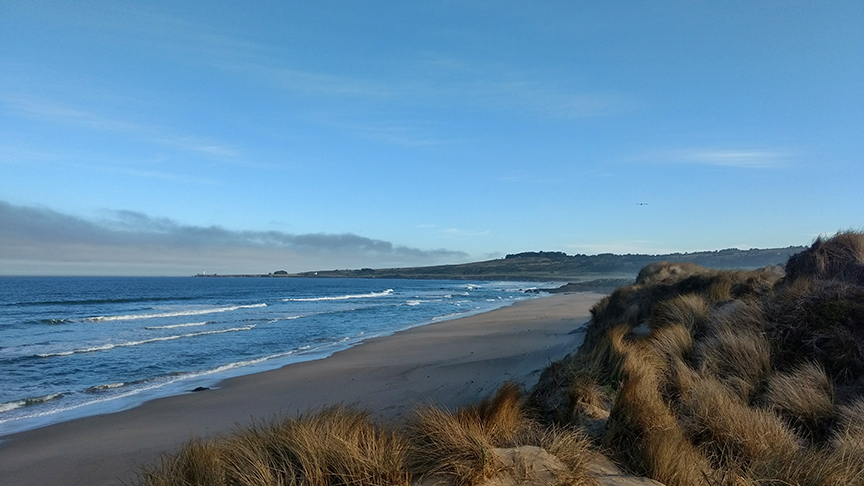 beachfront at Costanoa KOA in northern CA