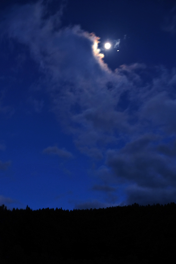 full moon over the redwoods