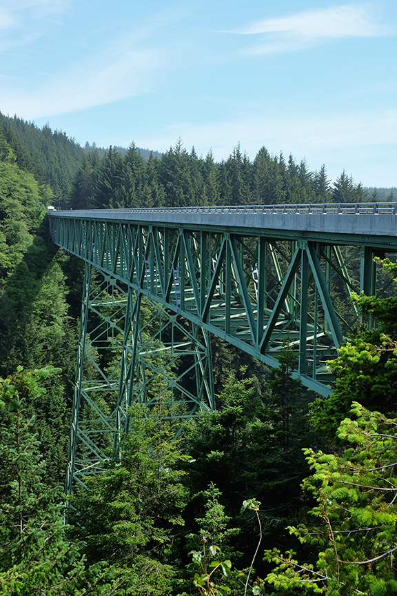 Highest bridge in OR at 345 feet. Note: tallest tree is 363 feet. 