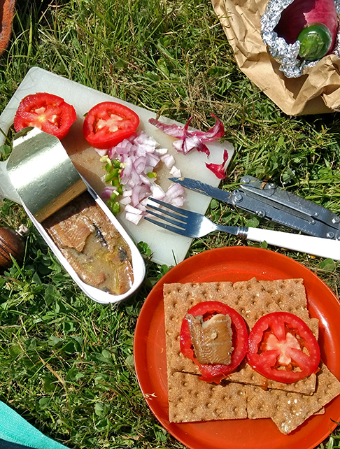 picnic at Harris Beach