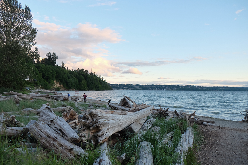 Salt Water State Park, just south of Seattle