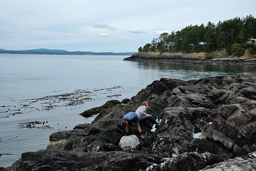 looking for crabs is hard work