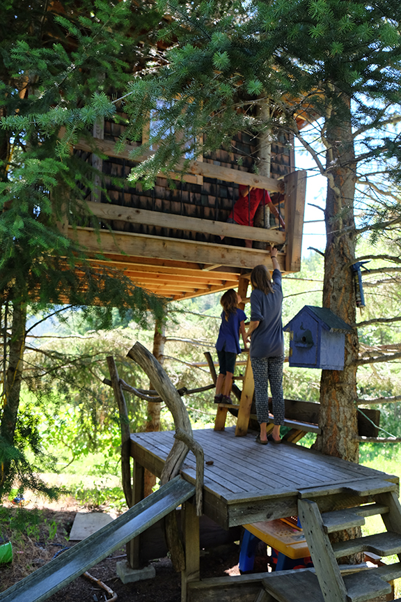 kitty in the treehouse