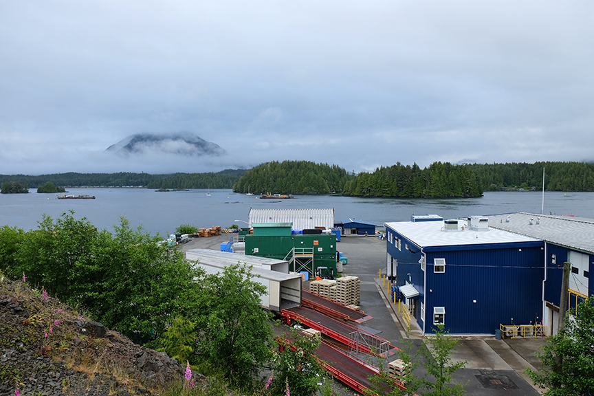 Clayoquot Harbor 