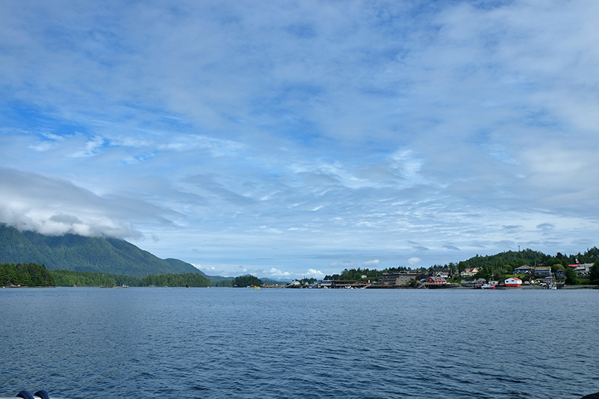 Tofino from the harbor