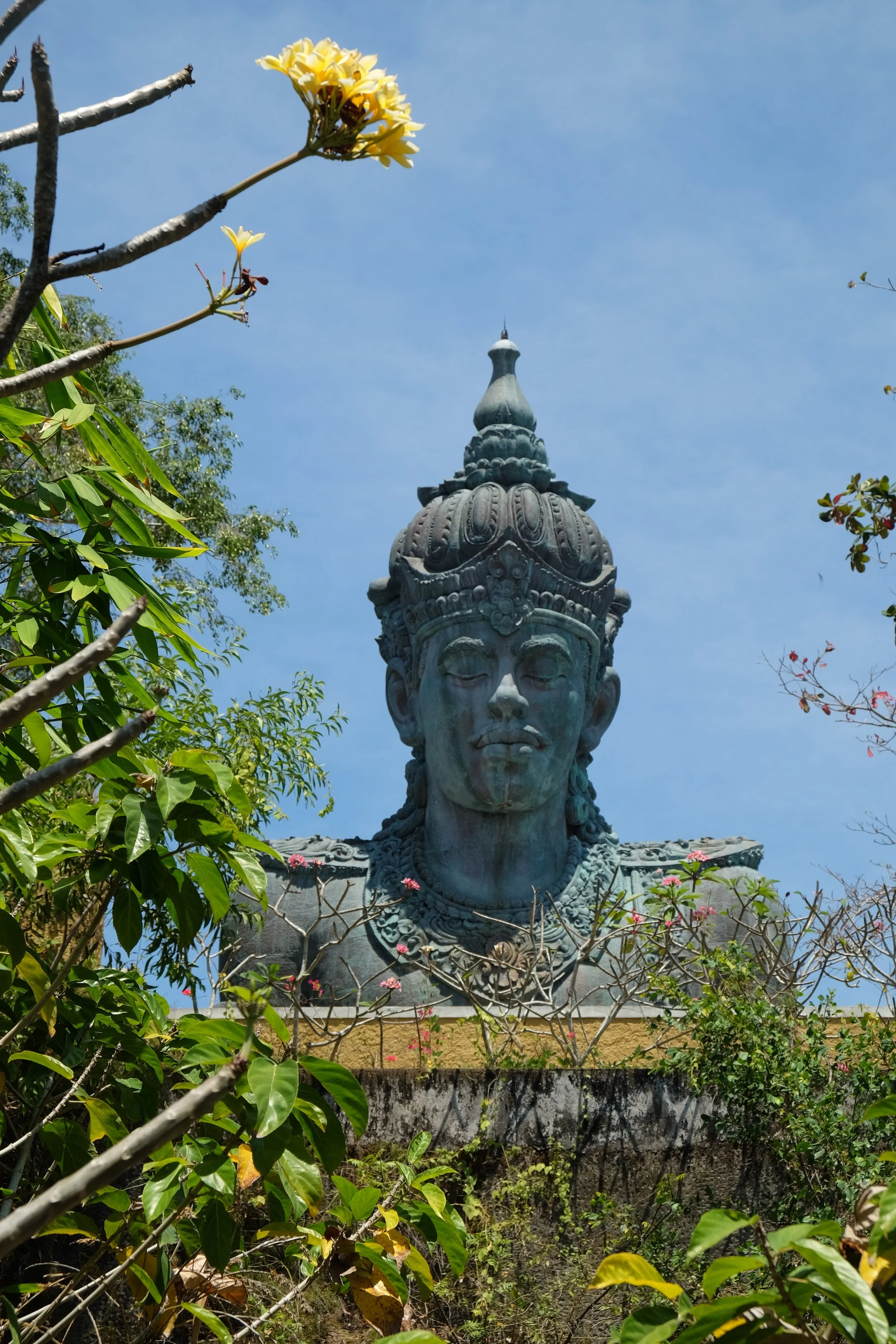 DSCF7753.jpg