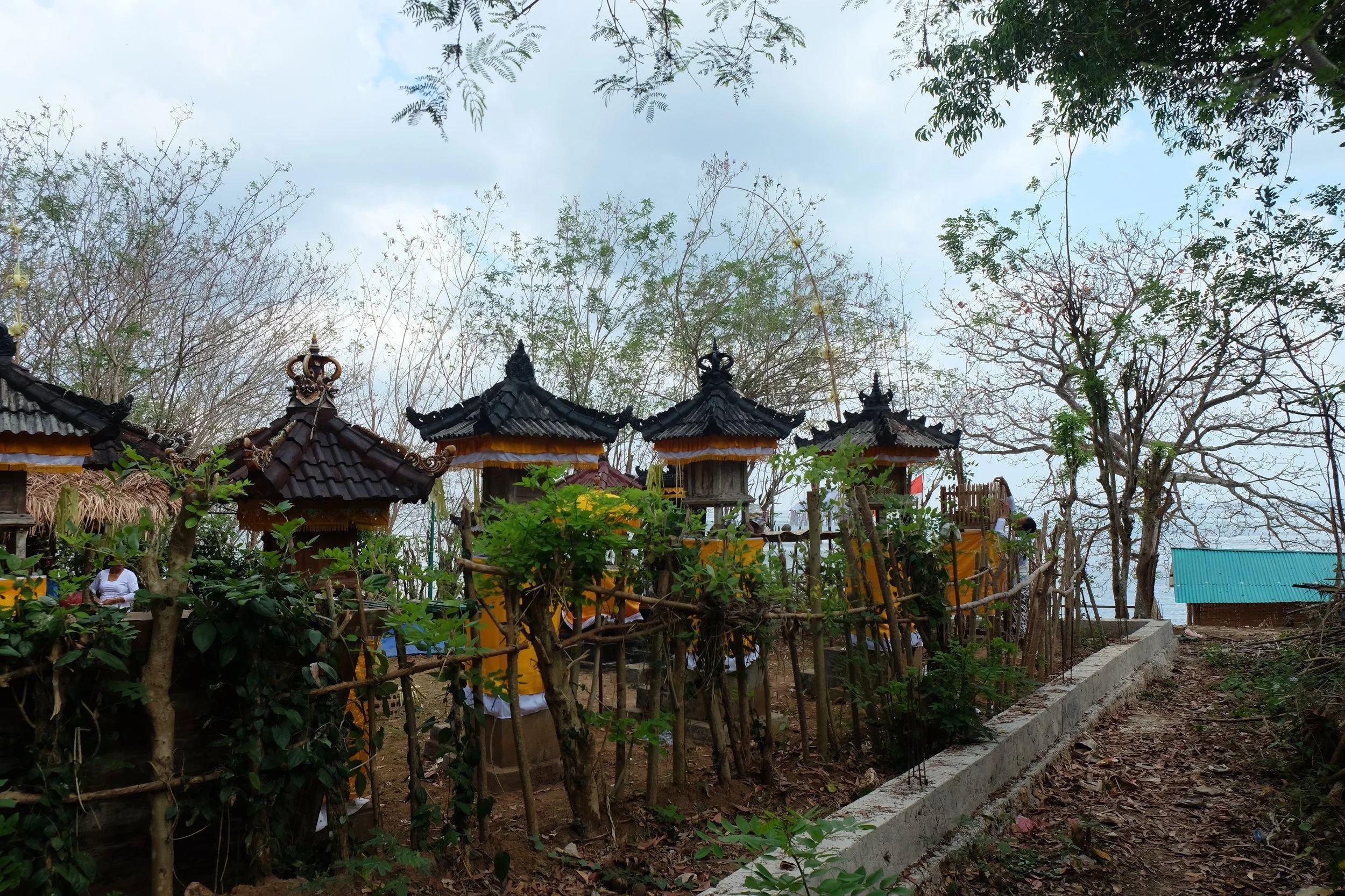 DSCF7908.jpg