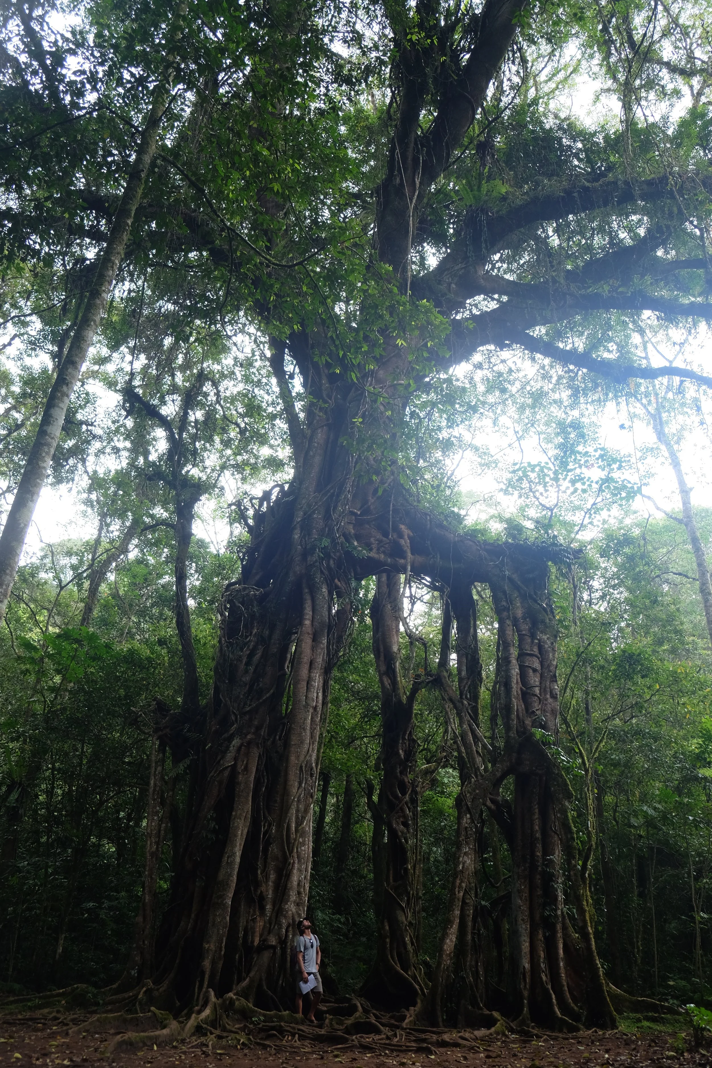 DSCF8128.jpg