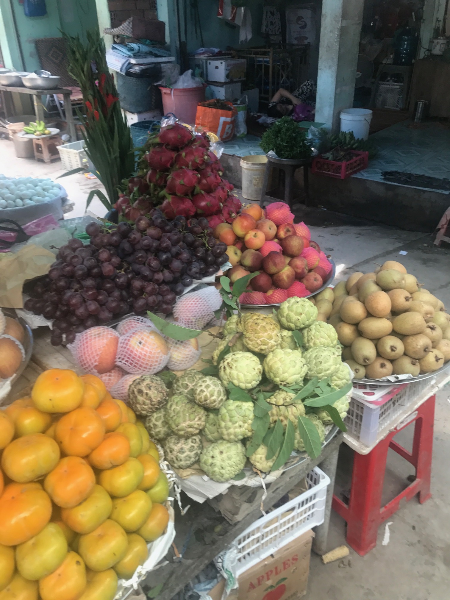 the Mekong Delta Market
