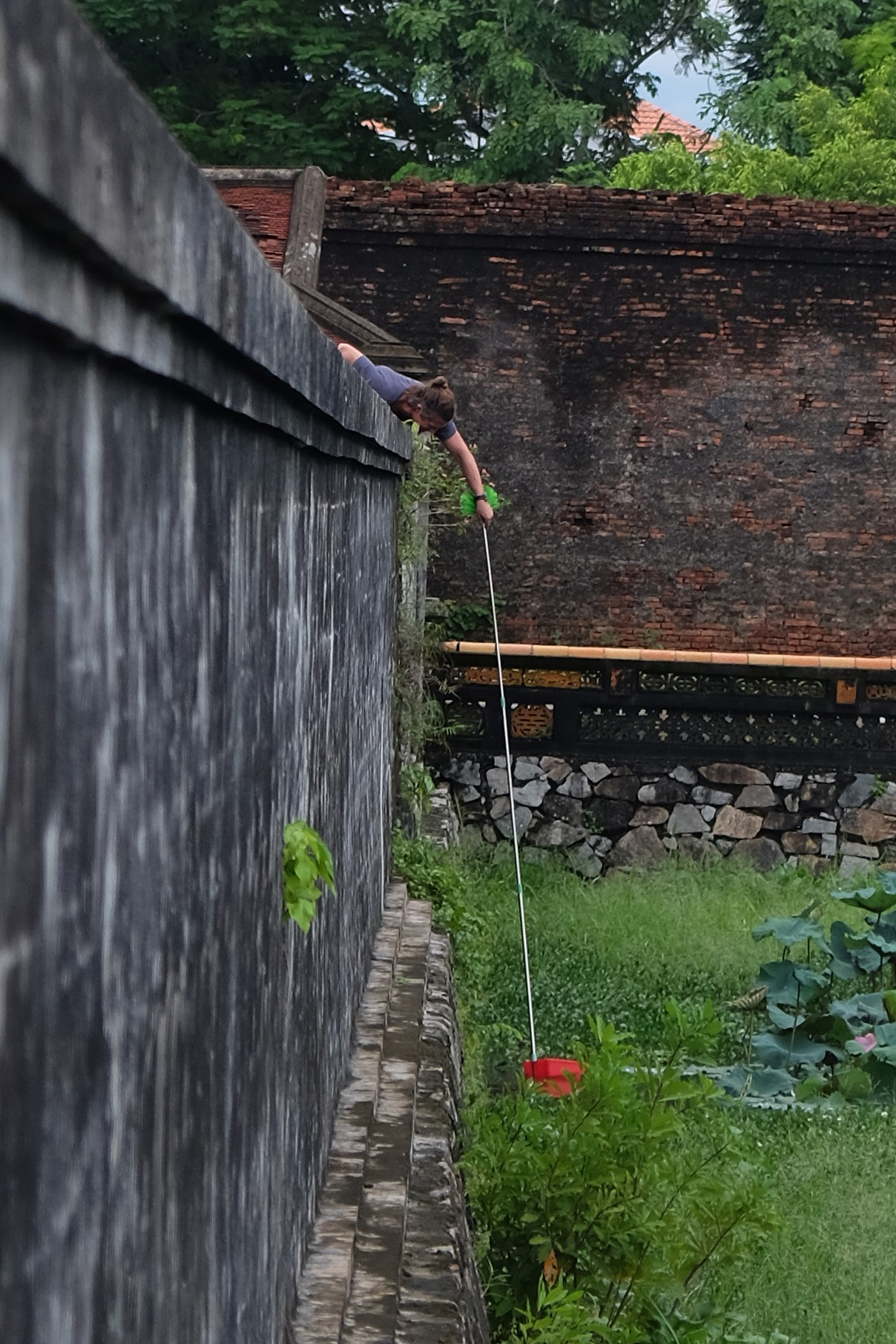 DSCF8623_cropped.jpg