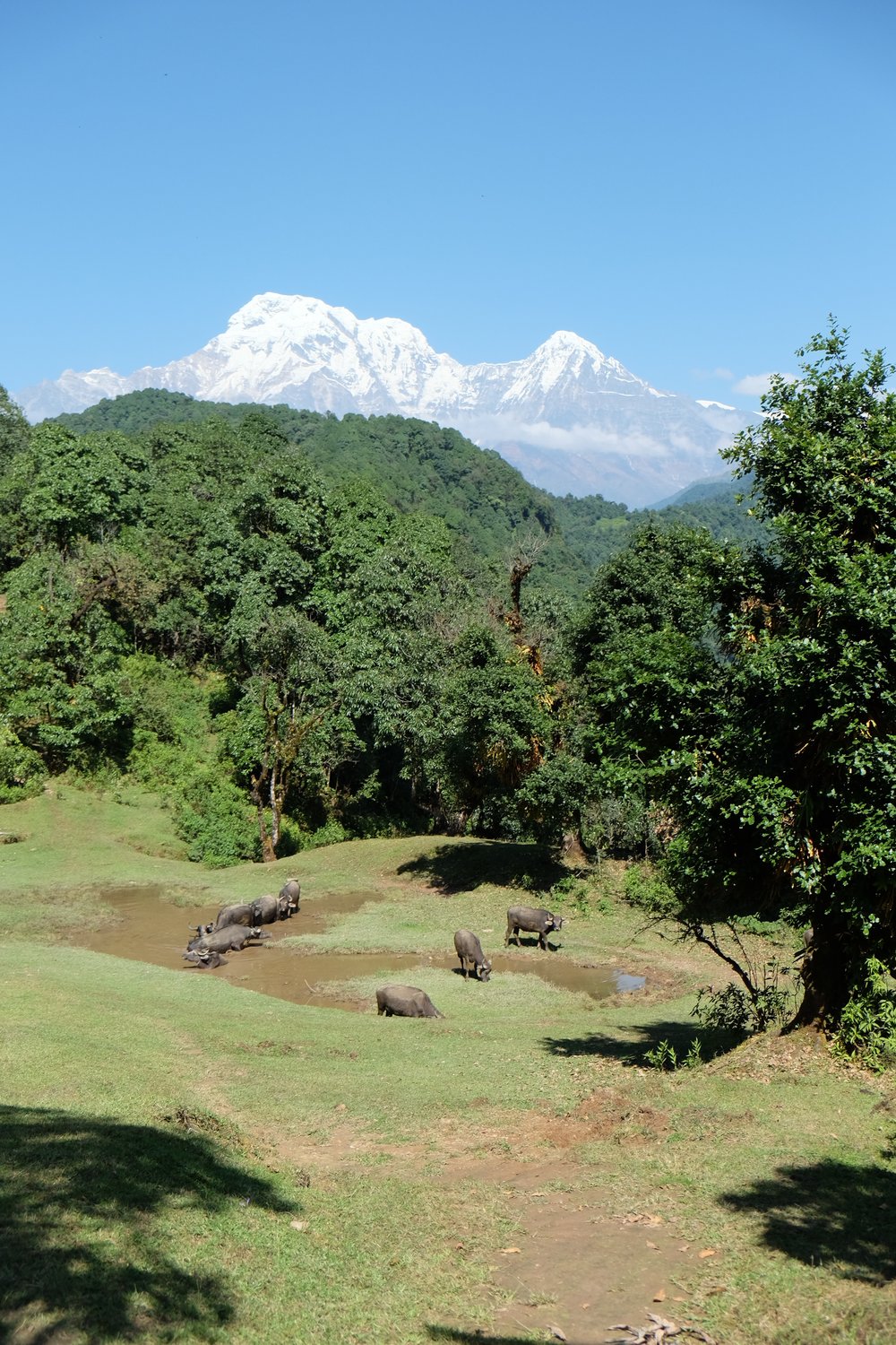 Annapurna