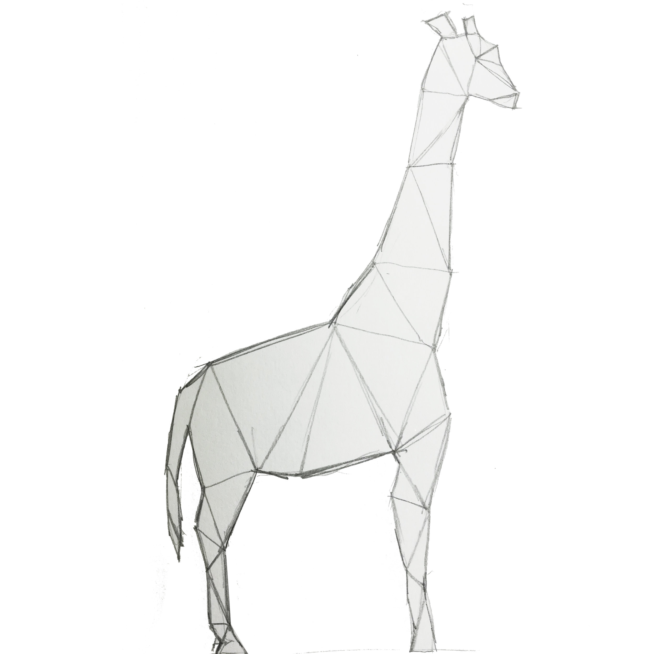 Giraffe.jpg