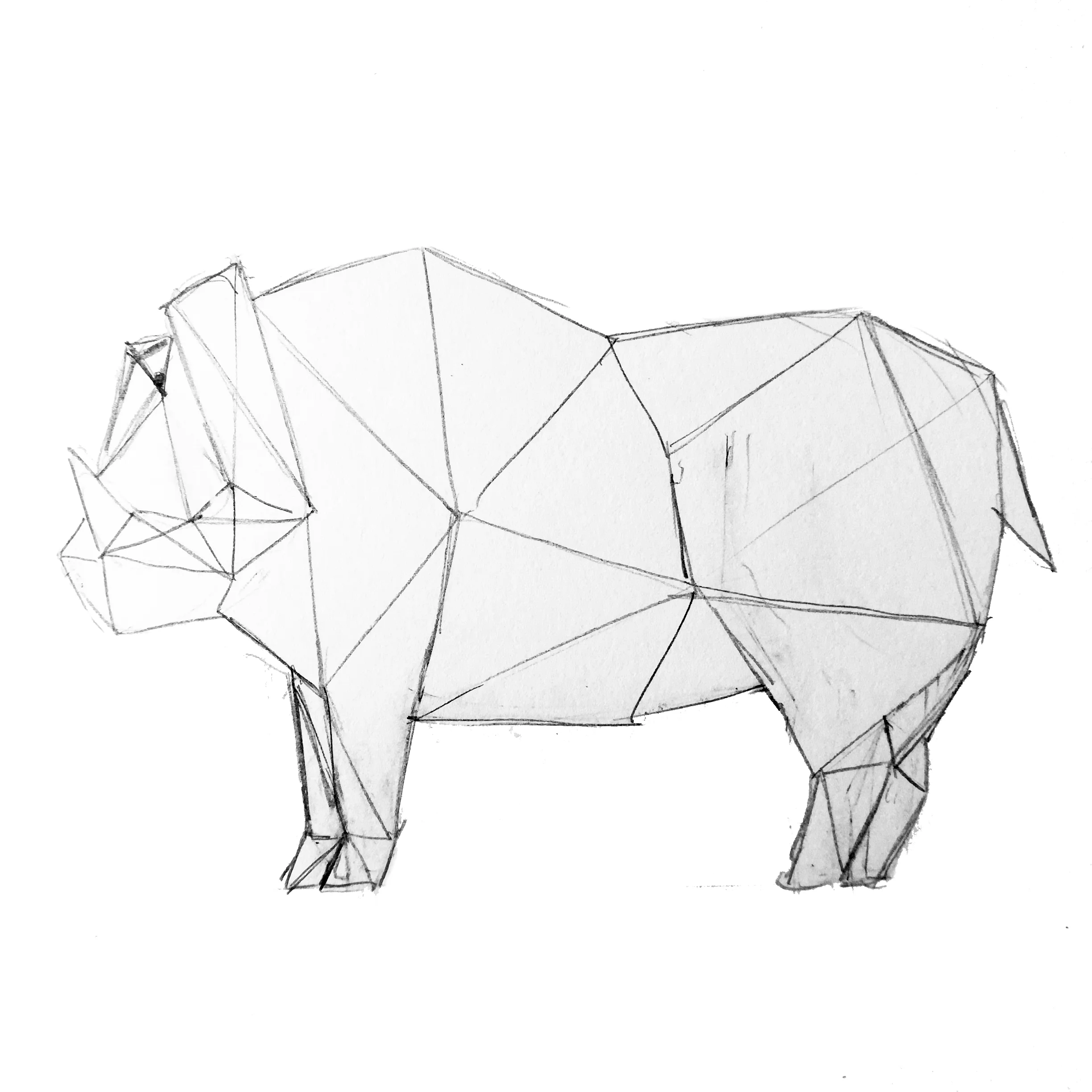 OX.jpg