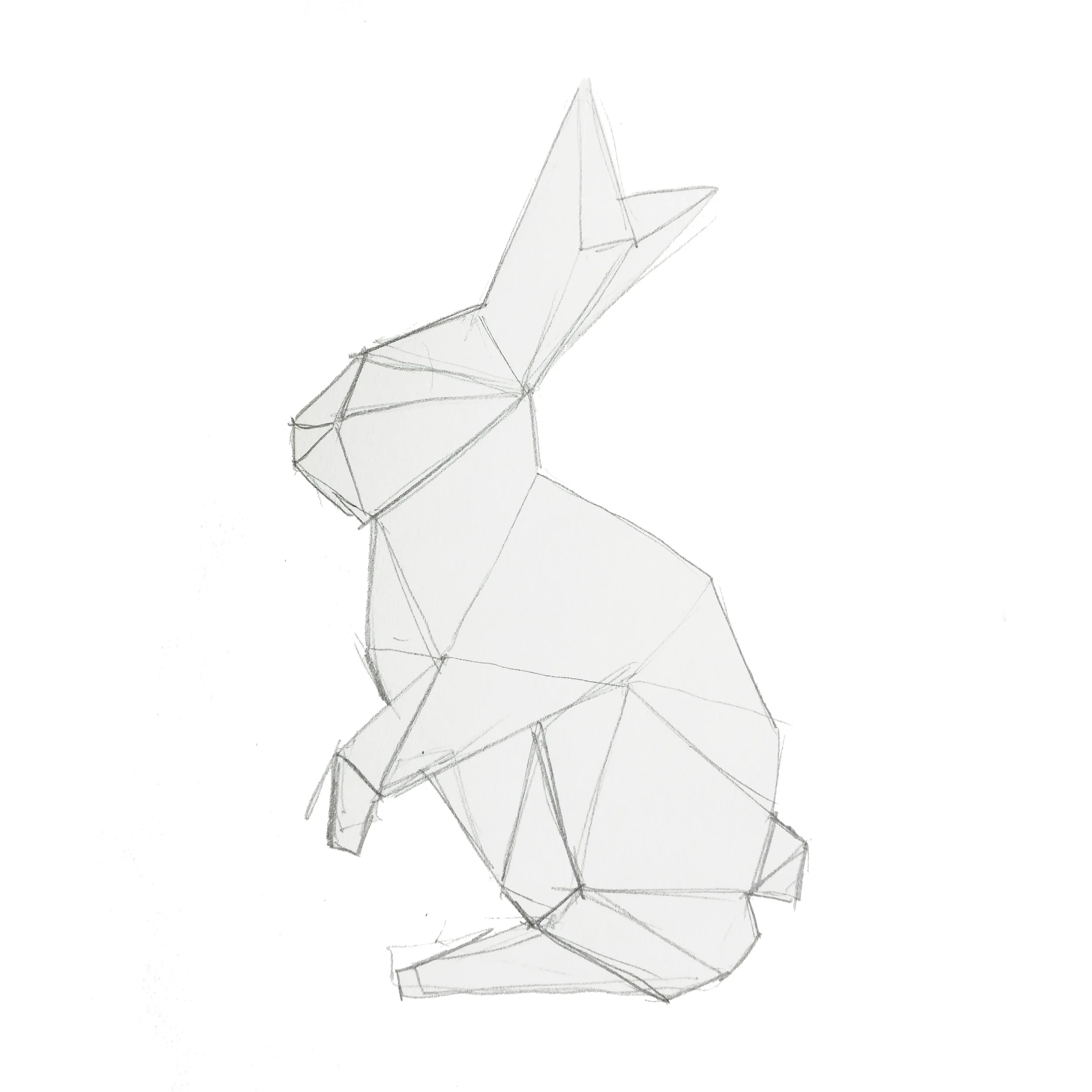 Rabbit.jpg