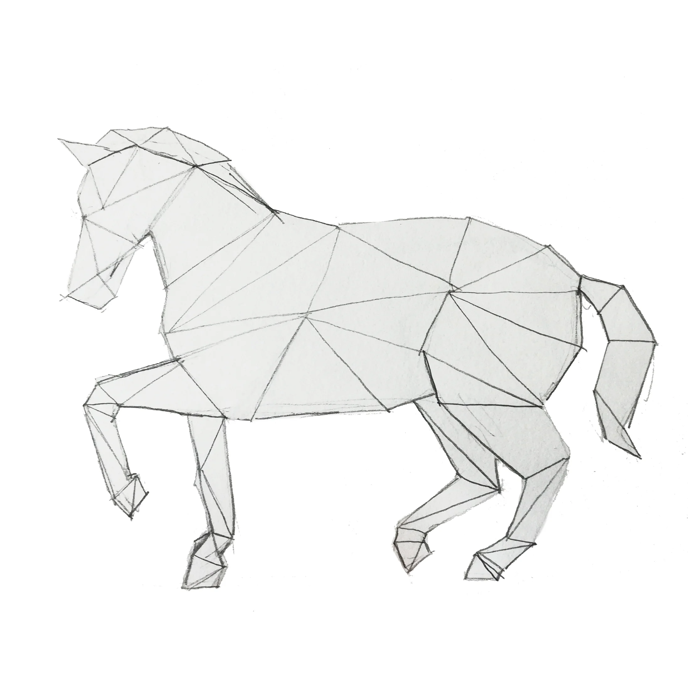 Horse.jpg