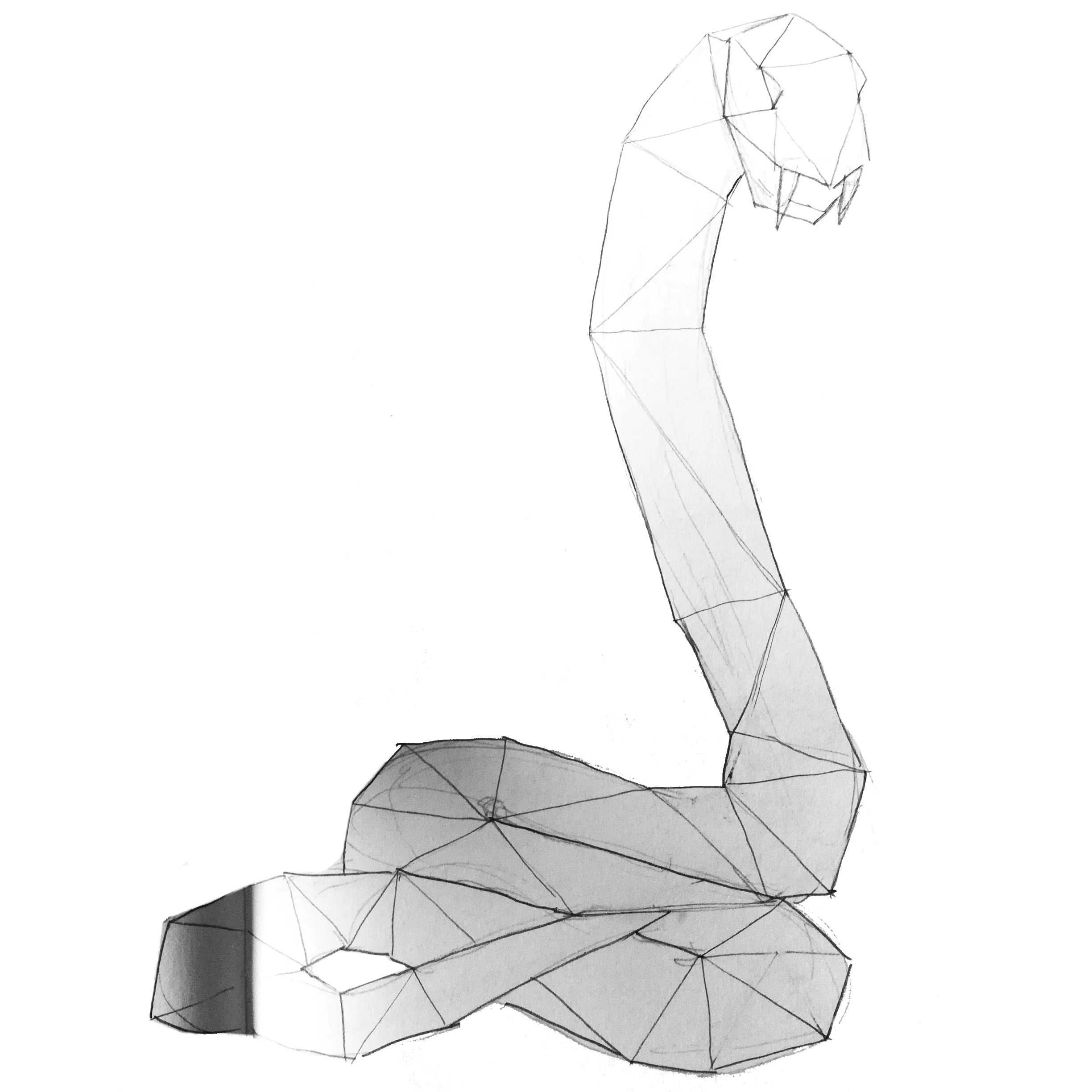 Snake.jpg