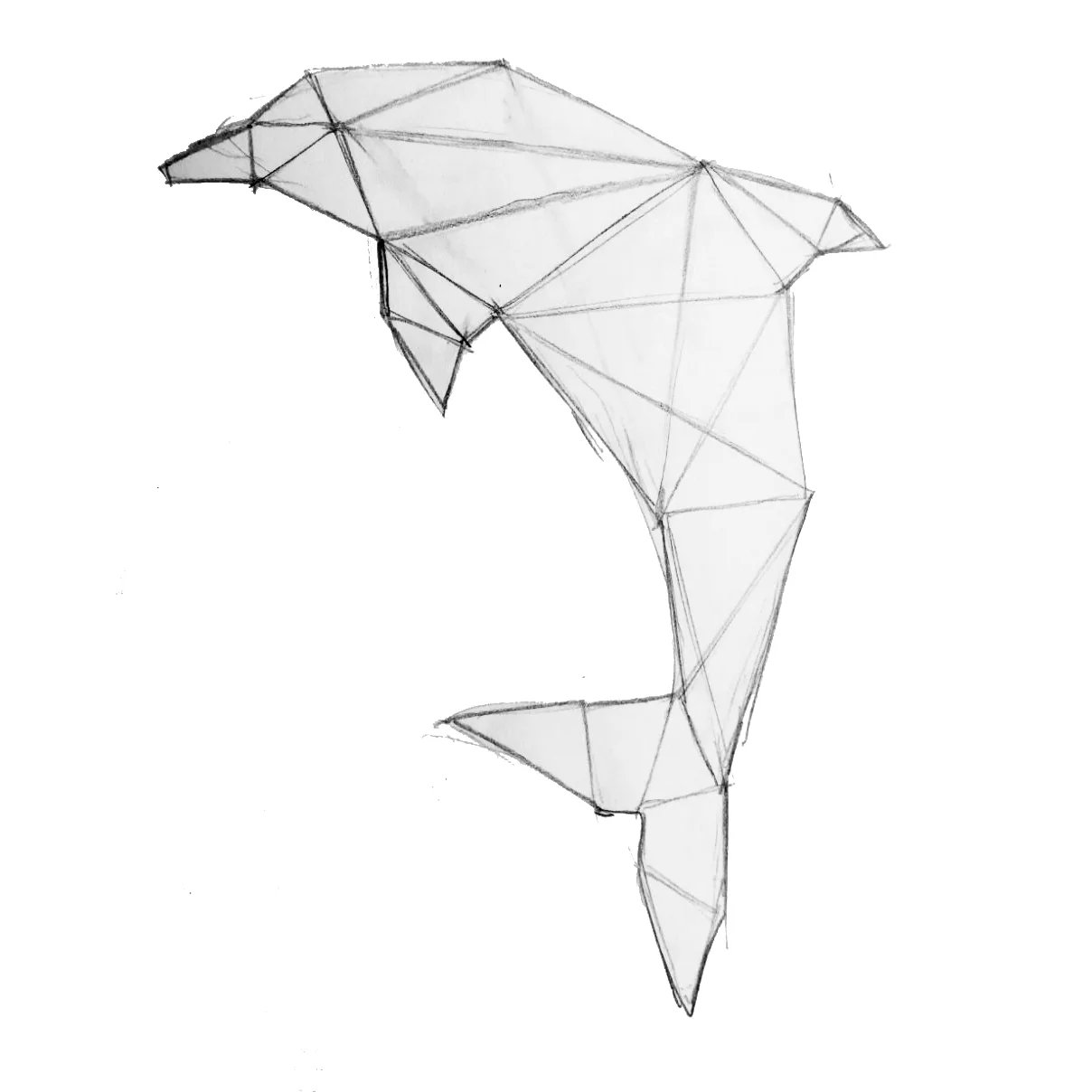 Dolphin.jpg