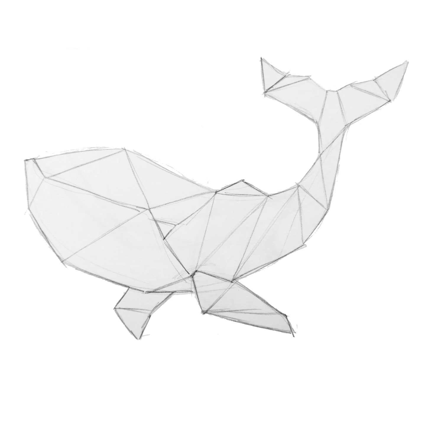 Whale.jpg