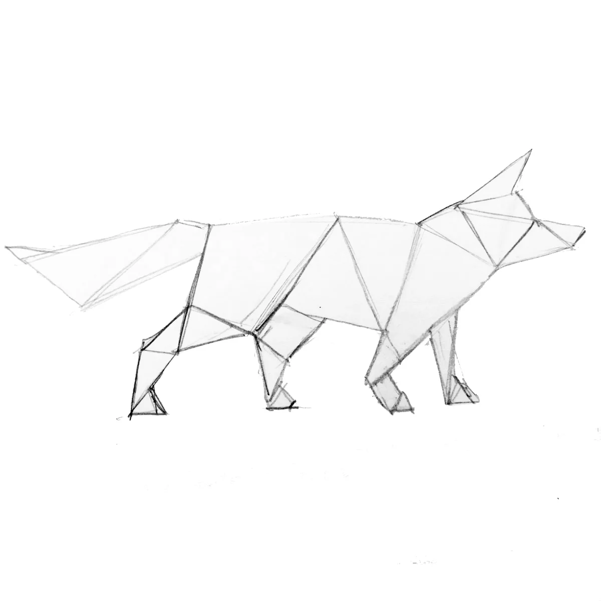 Dog.jpg