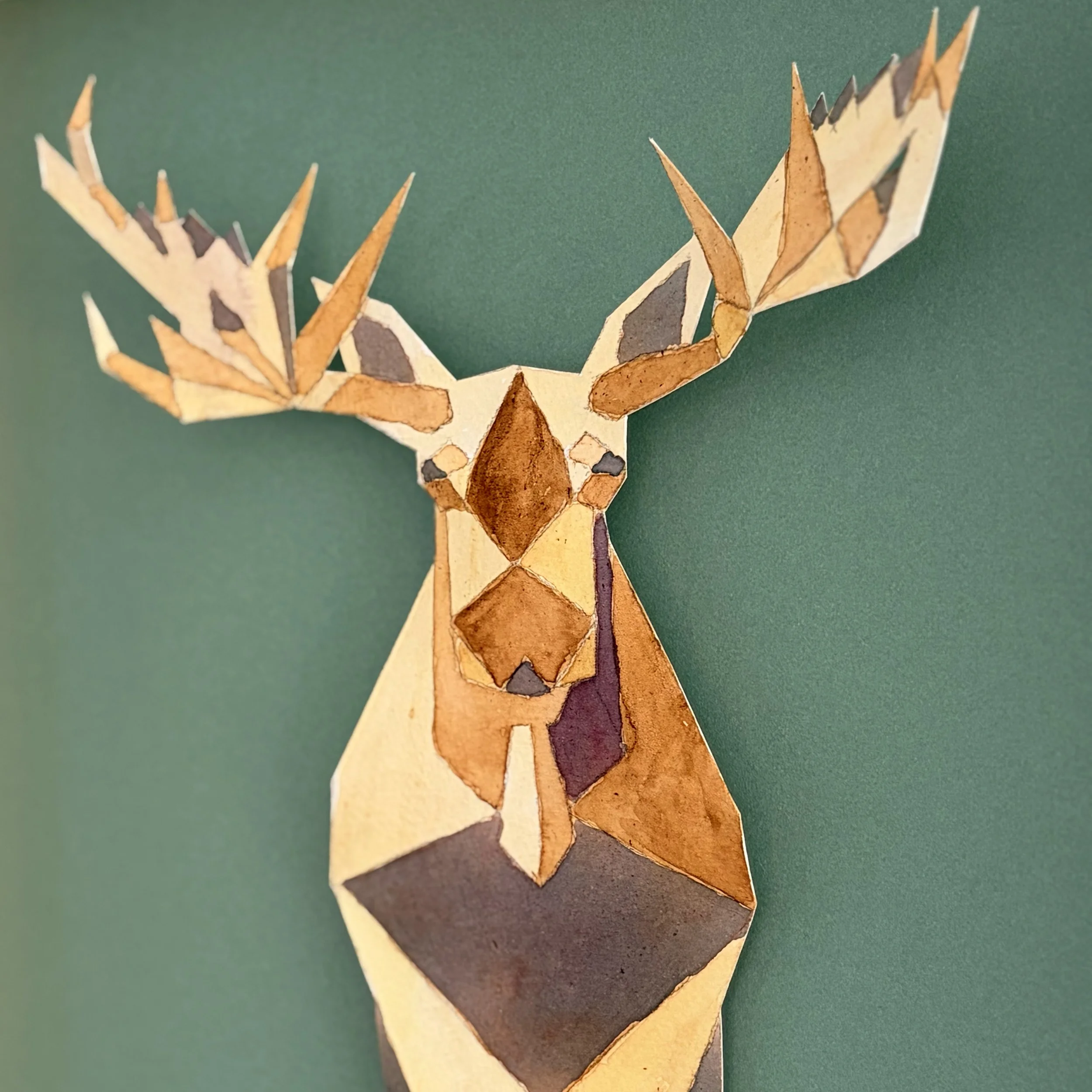 MOOSE_DETAIL.jpg