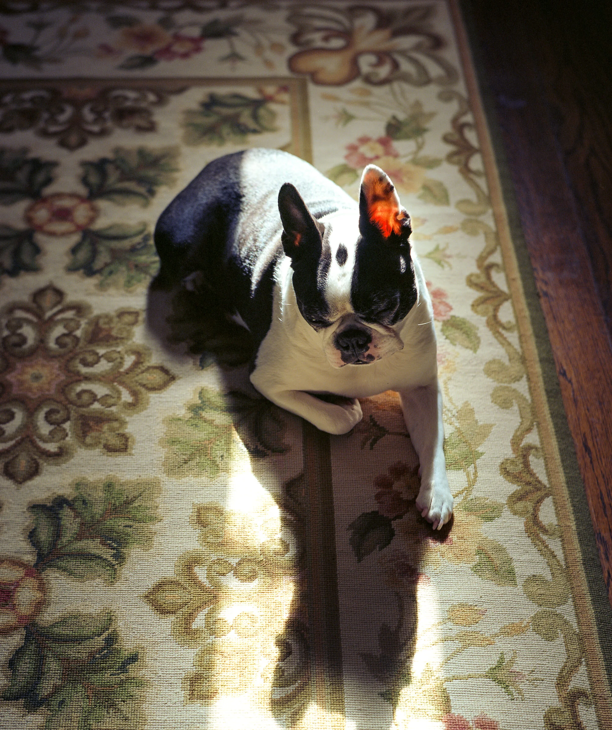 img285.jpg