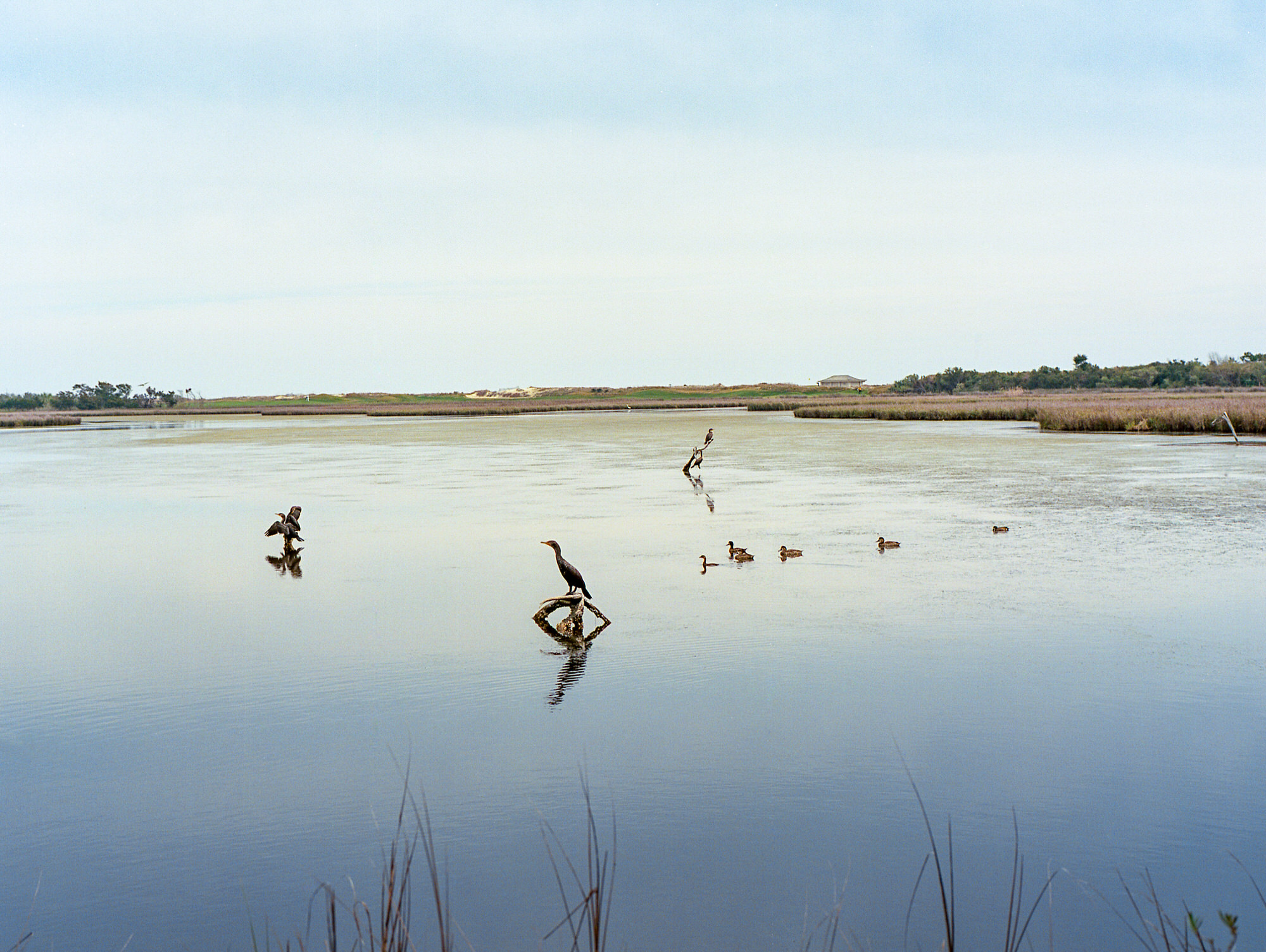 img305.jpg