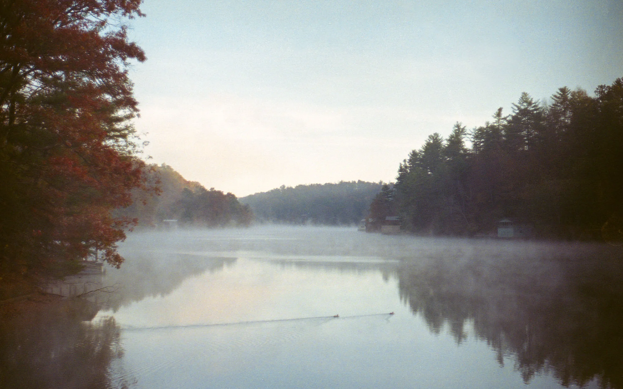 img656.jpg
