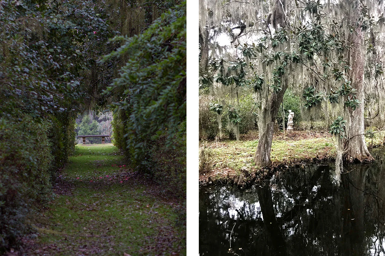 Of+Good+Stock_Charleston-magnolia-plantation.jpg