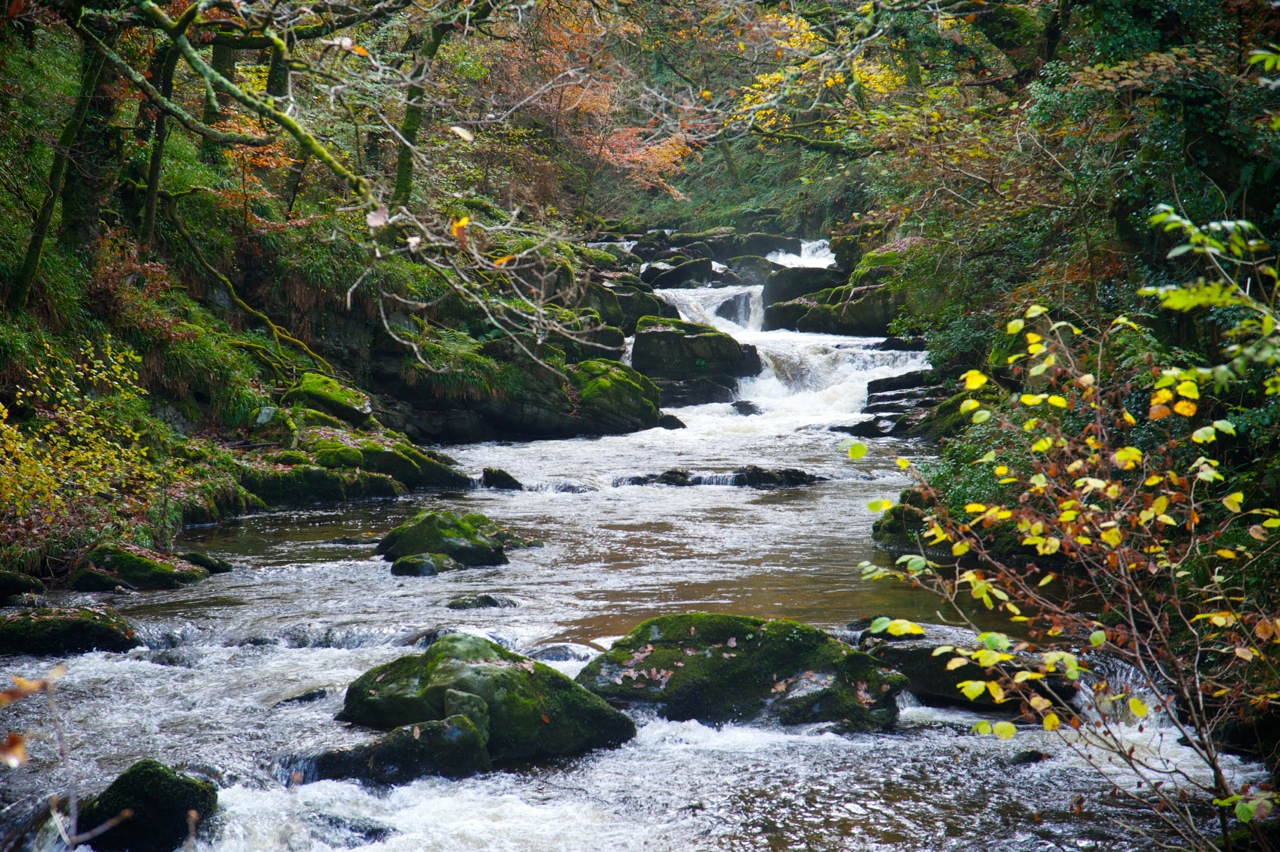 East Lyn River