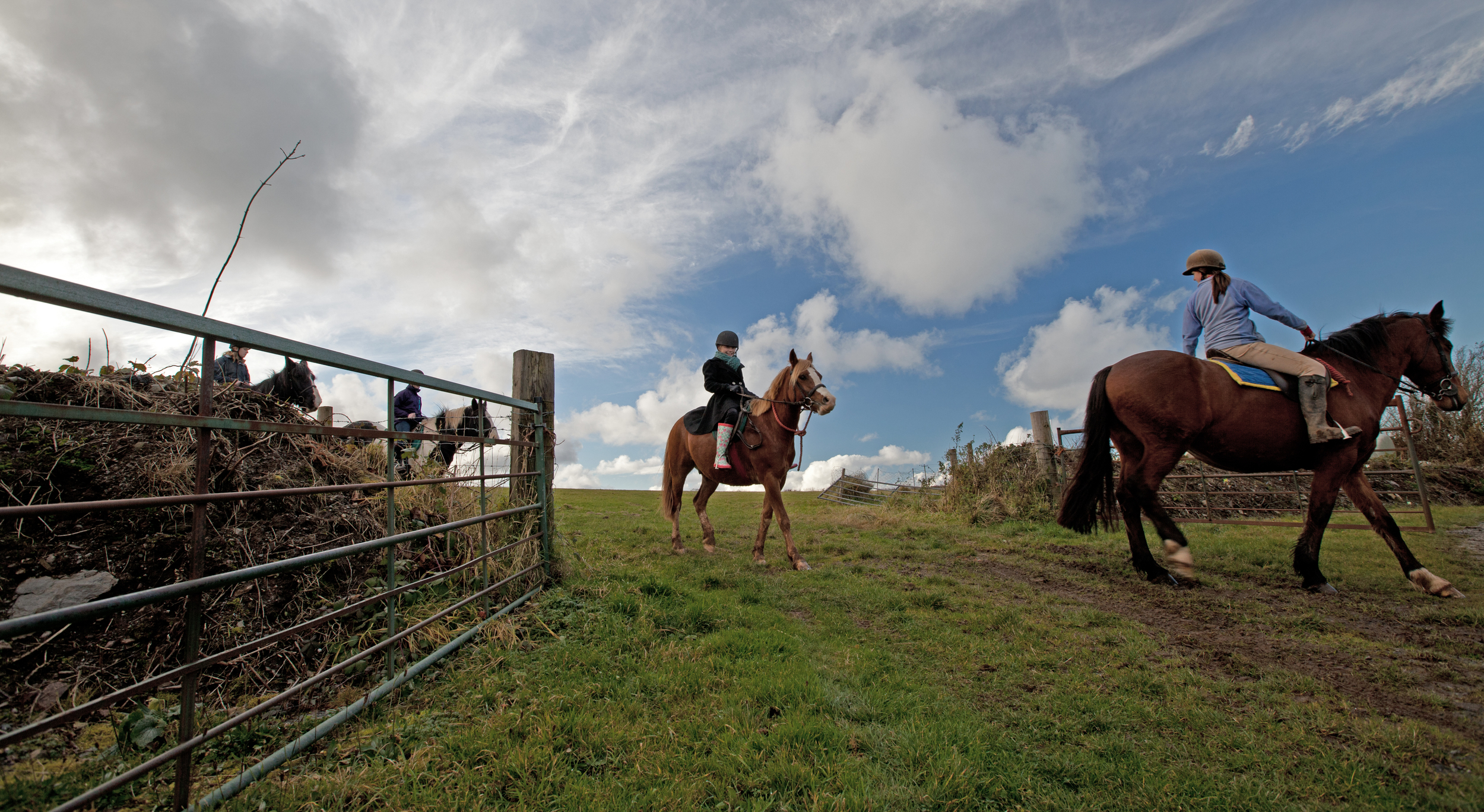 Horse Riding at Caffyn's Farm