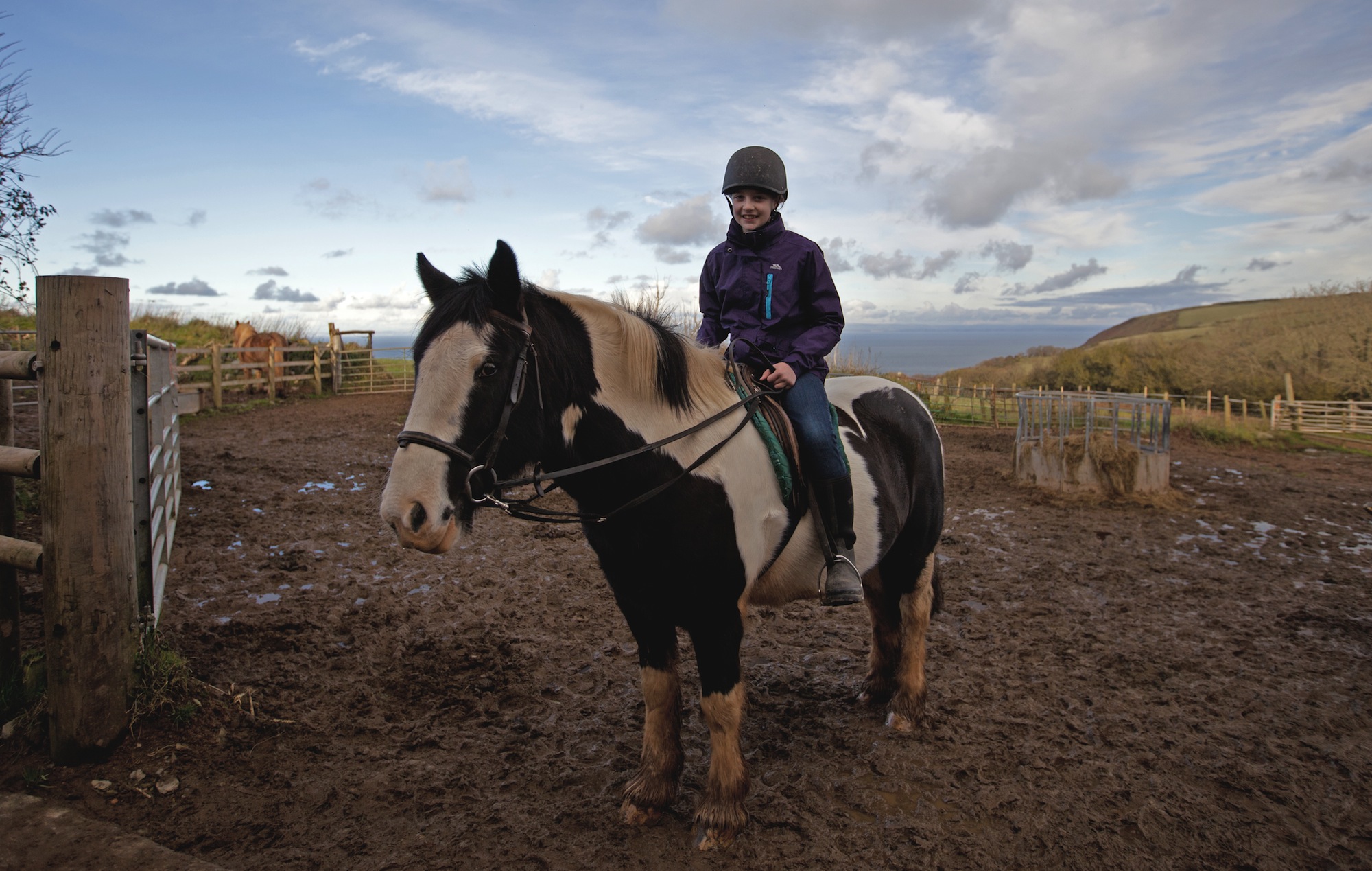 Horse Riding at Caffyn's Farm