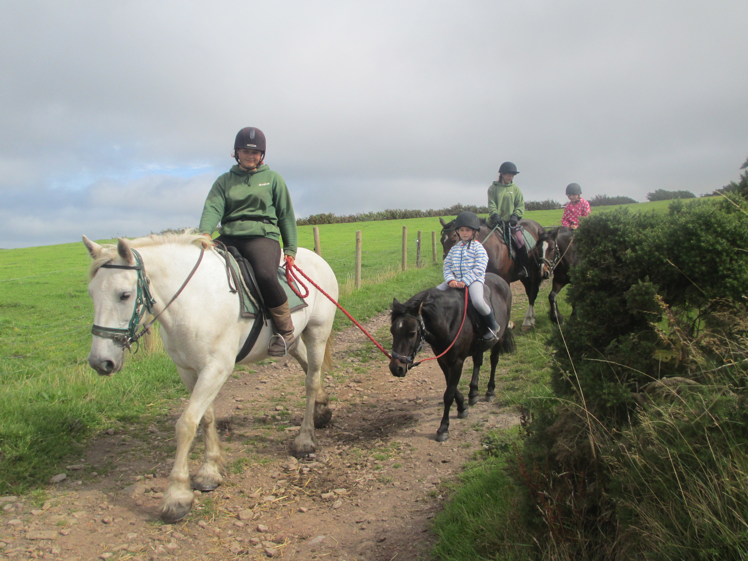 Horse Riding on Exmoor