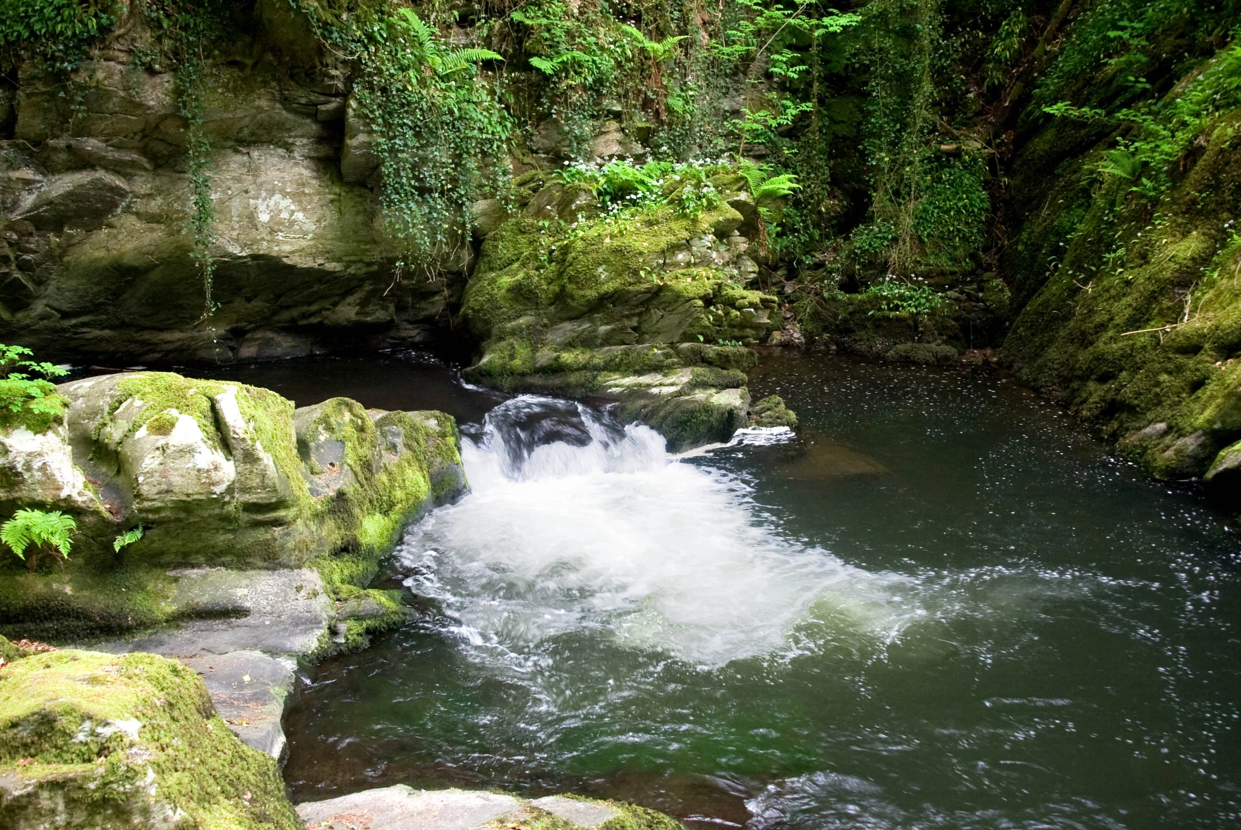 Ash Pool at Rockford