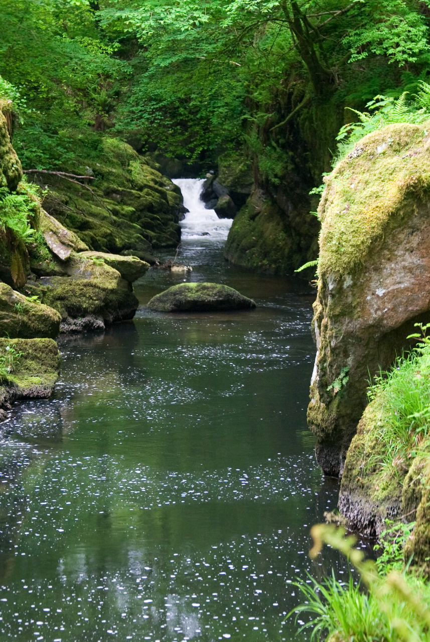 Long Pool near Rockford