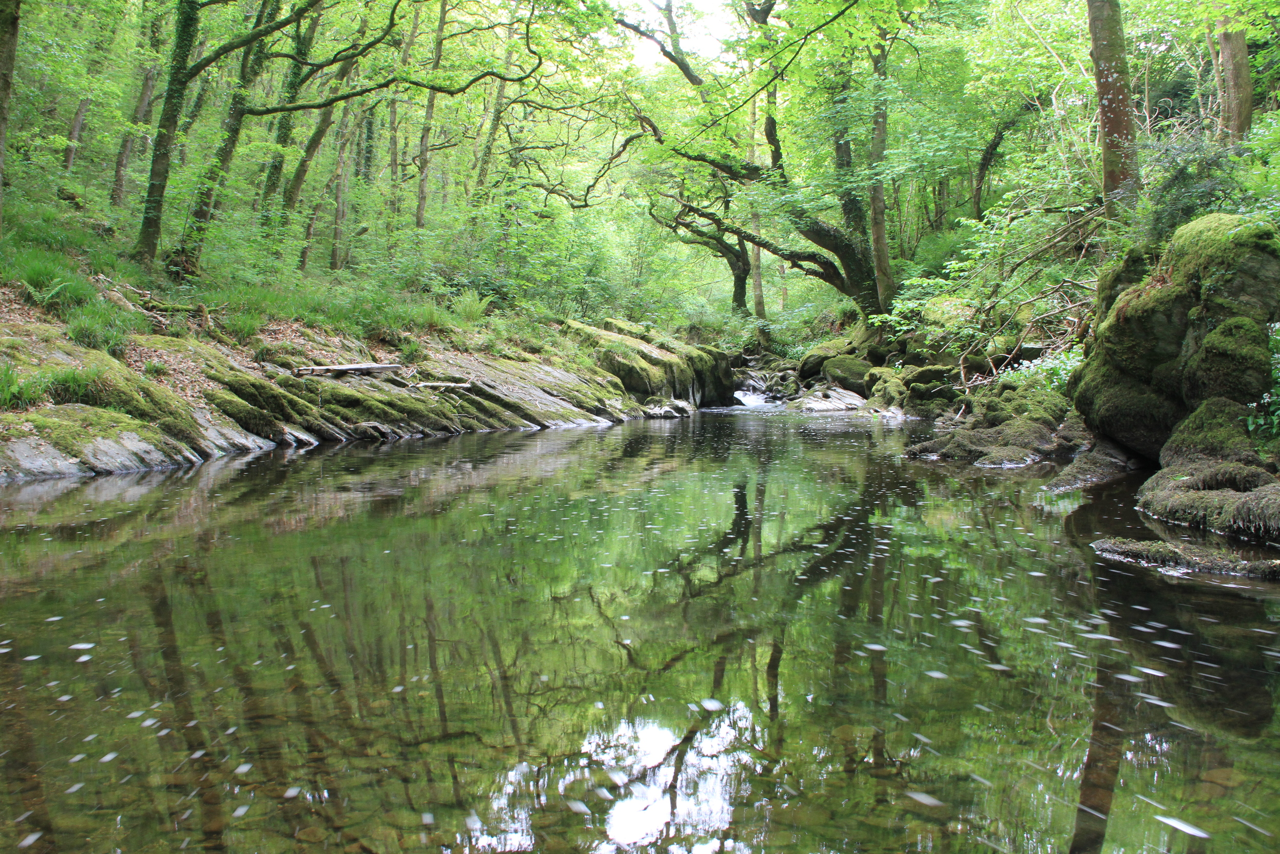 East Lyn River near Rockford