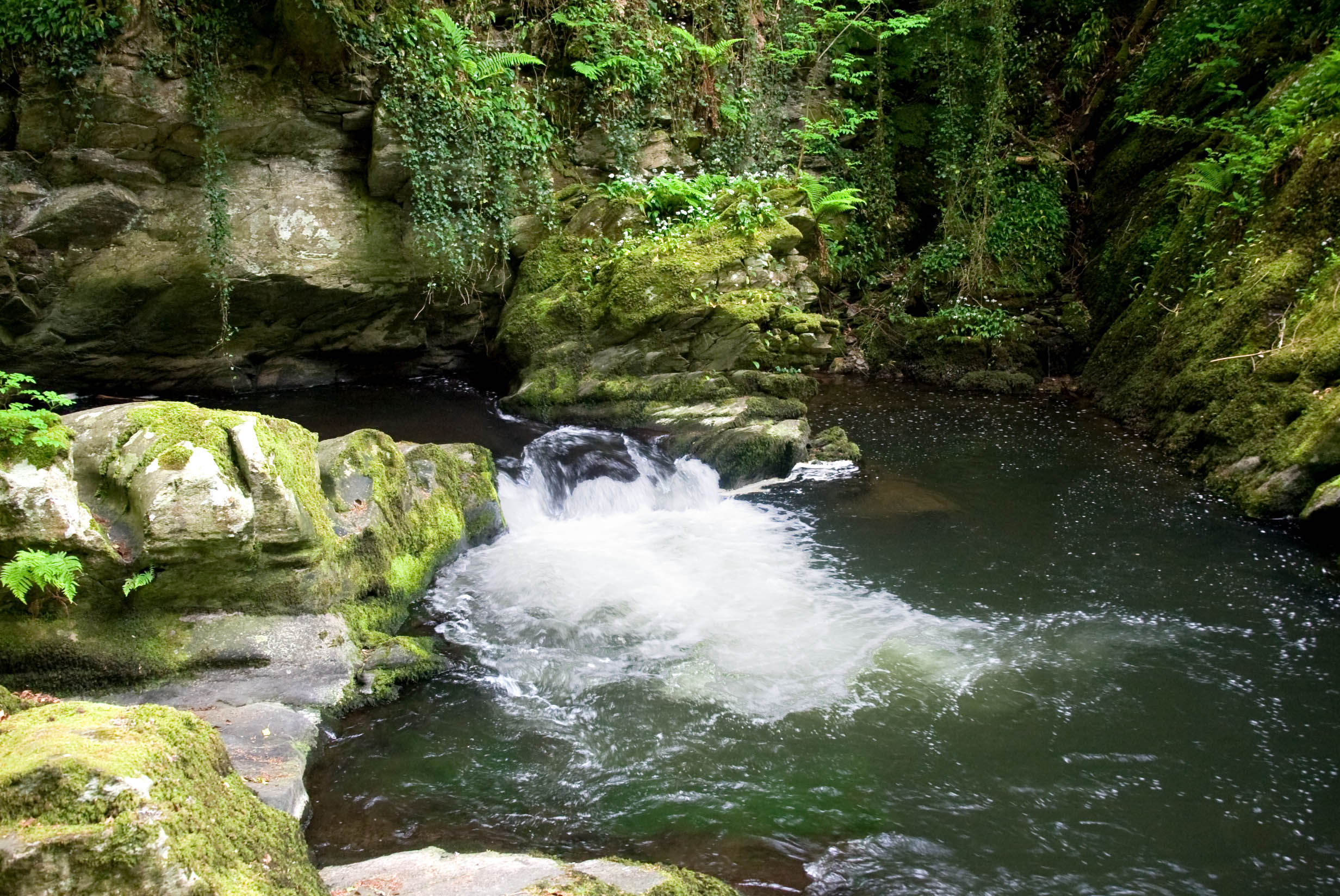 Ash Pool on the East Lyn river 300 yards from The Rockford Inn