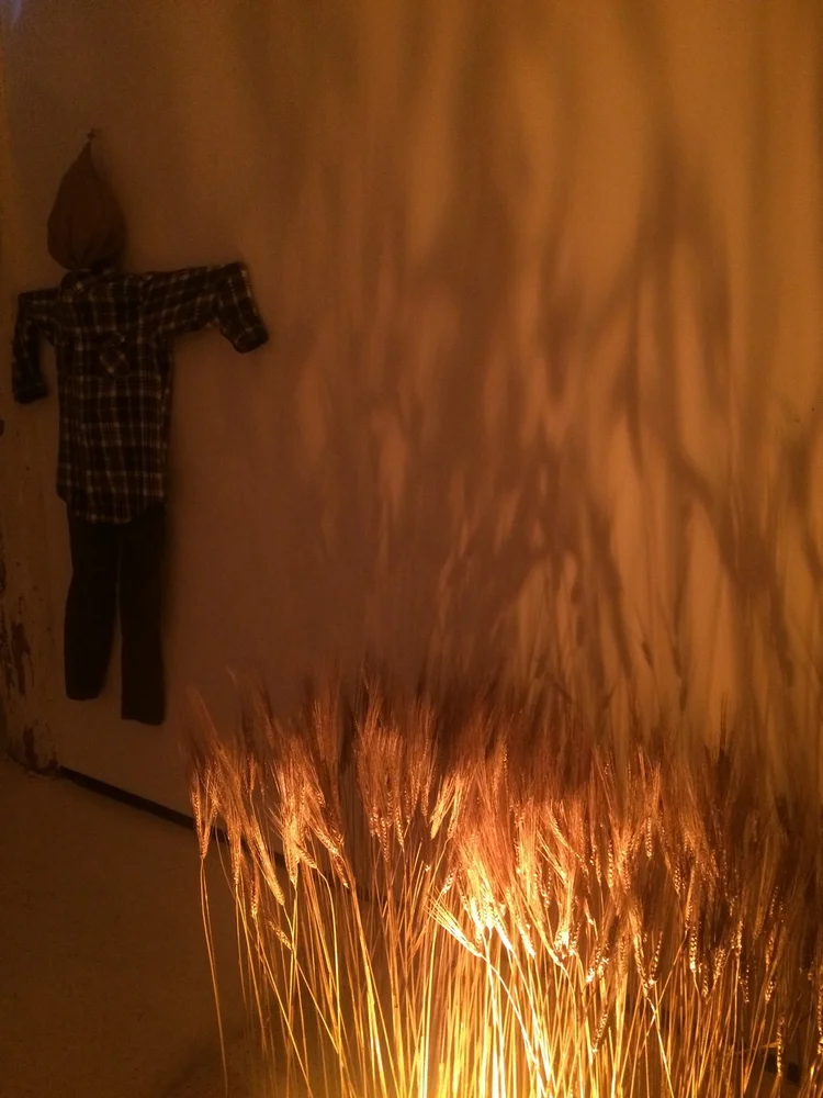 Novelspace 1 copy.png